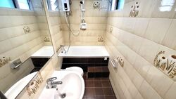 Dunearn Road (D11), Condominium #570783381